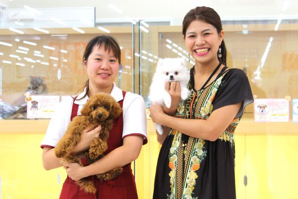 Pet Ami 四街道店 ペットサロン トリミング 千葉県四街道市 Eparkペットライフ