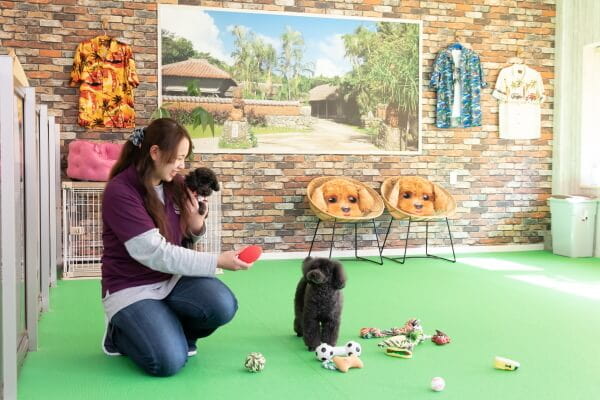 犬と猫の美容室ちゅら ペットサロン トリミング 香川県東かがわ市 Eparkペットライフ