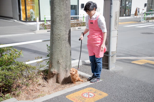犬の美容室 Happy ペットホテル 東京都板橋区 Eparkペットライフ