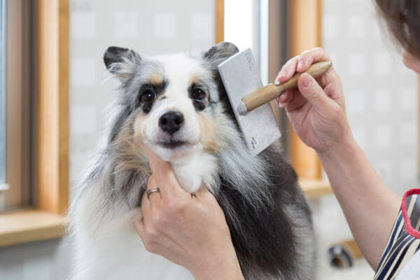 飼い主さまのご要望を気兼ねなくお聞かせください