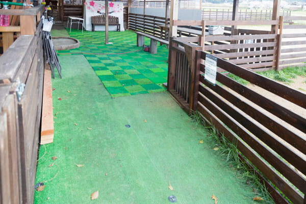 雨の日は屋根のあるスペースで運動できます