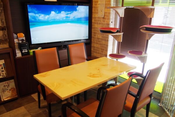 カフェスペース