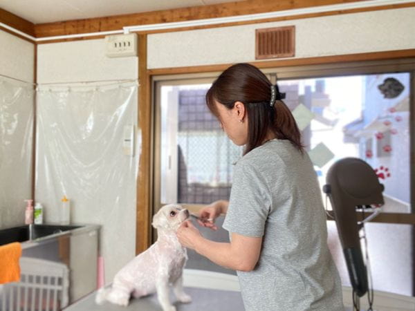 犬の美容室 ククル ペットサロン トリミング 滋賀県栗東市 Eparkペットライフ
