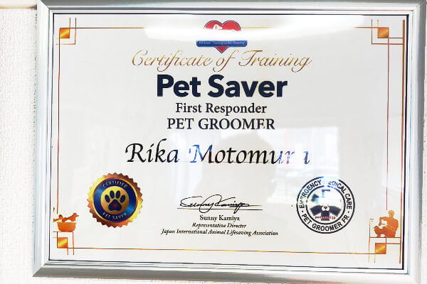 ペットセイバー(国際動物救急医療従事者)資格