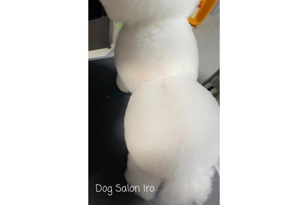 ふんわりカットもお任せください