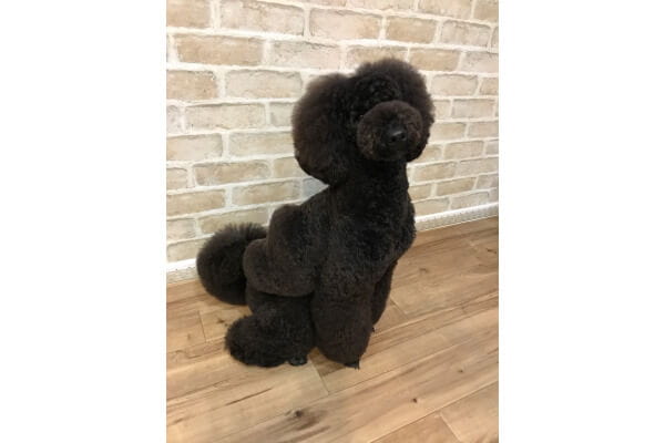 仕上がりイメージ