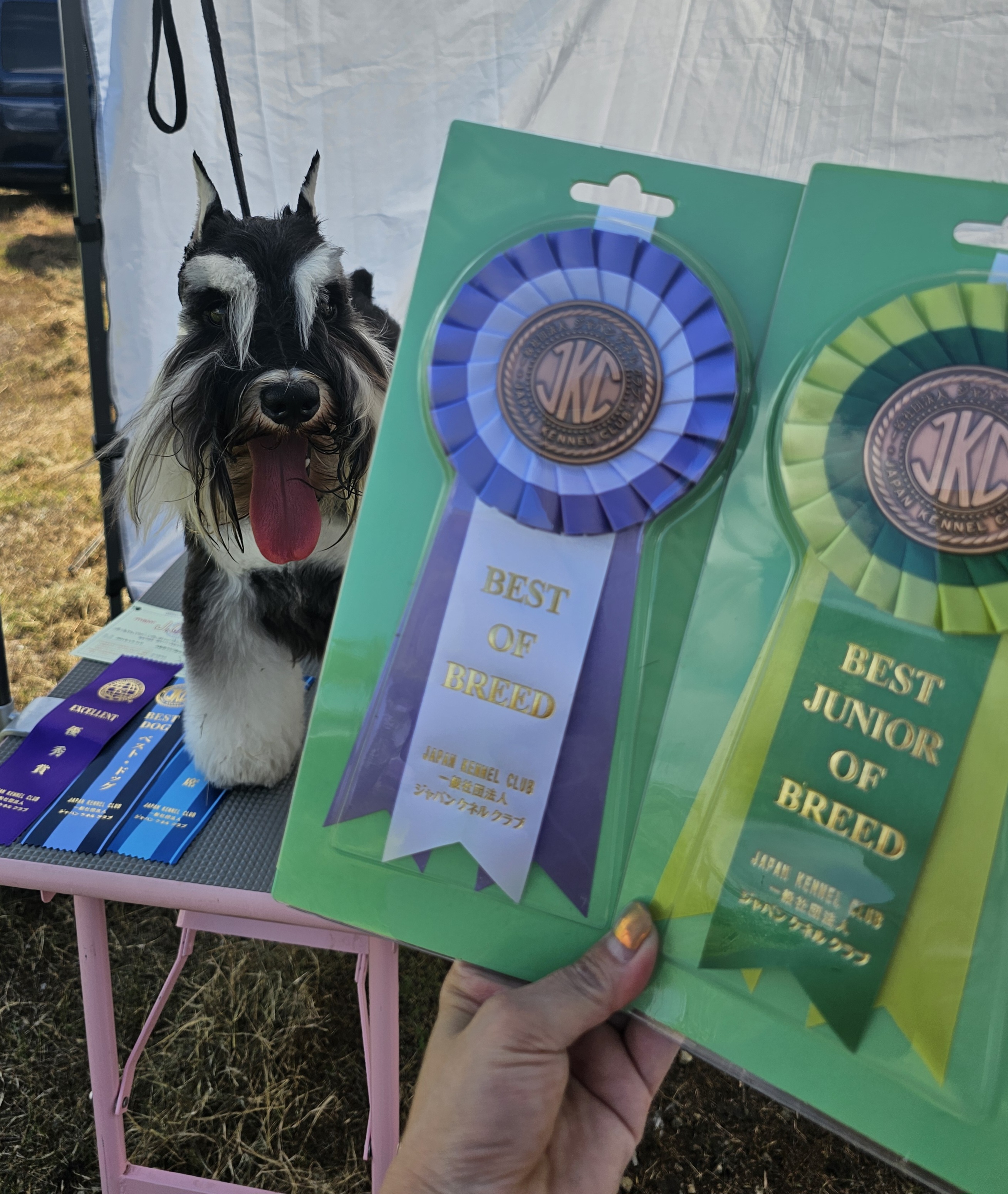 表彰をいただきました♪