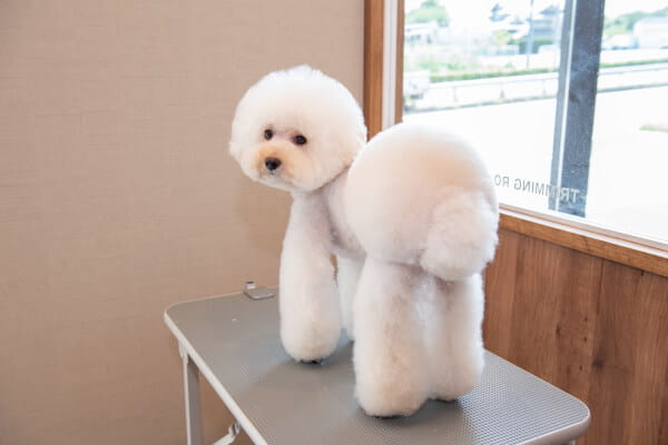 仕上がりイメージ