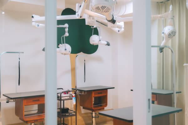 愛犬との幸せな日々をお手伝いする、ワンちゃんのための複合施設です