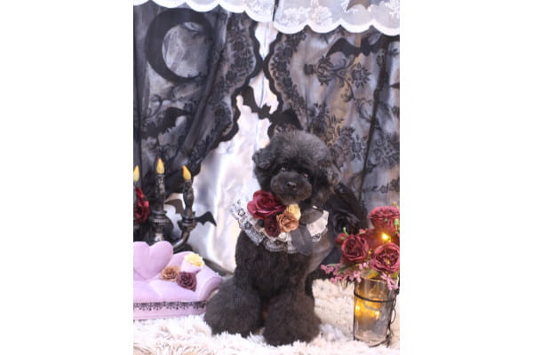 仕上がりイメージ