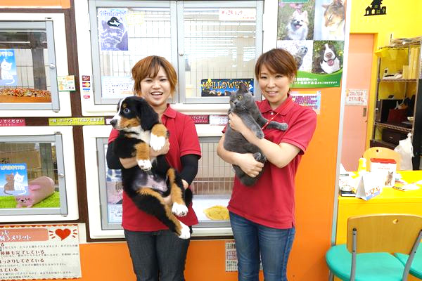Pet Comunity Praza 半田乙川店 ペットサロン トリミング 愛知県半田市 Eparkペットライフ