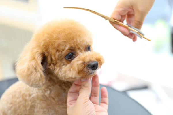 お任せをご希望の方は、お顔立ちや毛量、毛質などに合ったカットをご提案いたします