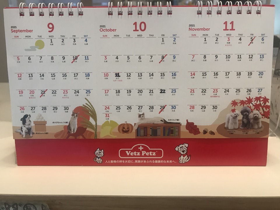 金曜午後、休診の日があります。