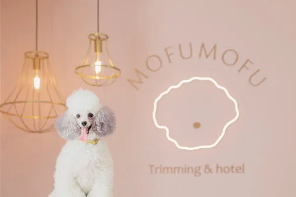 MOFU MOFU trimming＆hotel