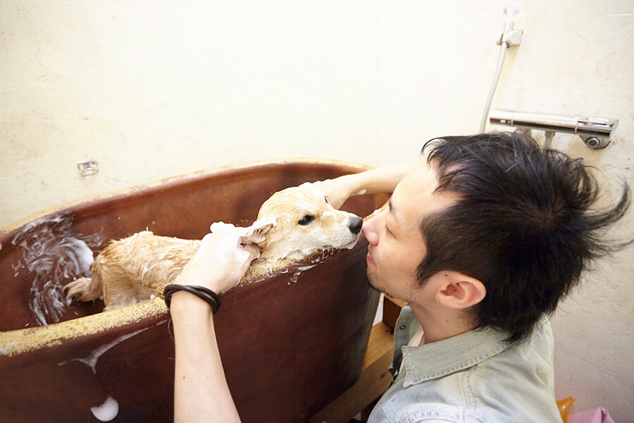 トリミング処 犬の和心　オーナー 小山 豊